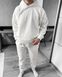 Чоловічий флісовий костюм (Худі + Штани) колір Білий розмір S Men-SK-White-S фото